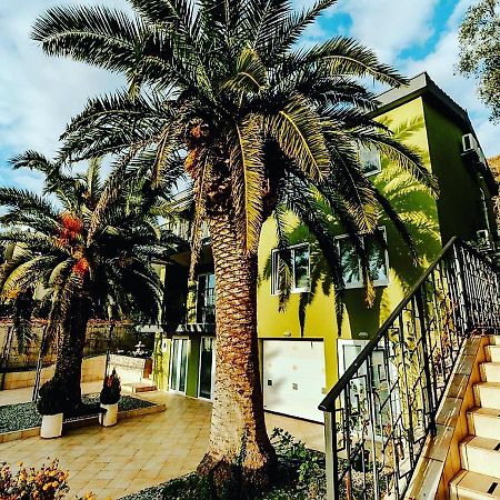 Palm Point Apartment Petrovac Extérieur photo